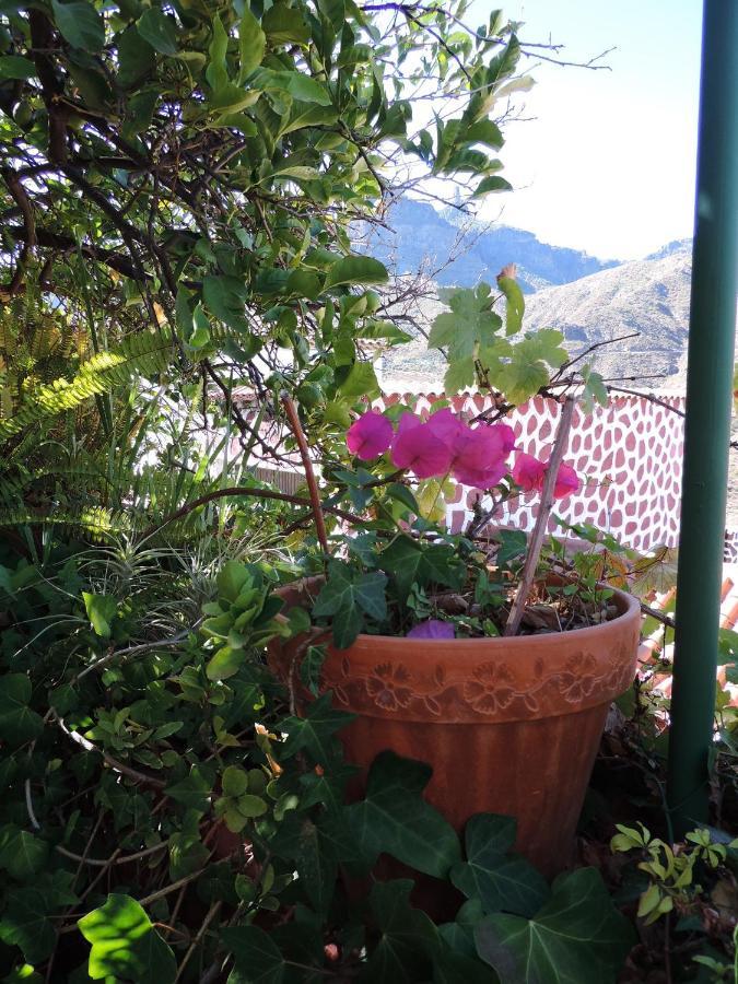 Rural Houses Serafin Casa Rural Serafin The Best Views Техеда Екстериор снимка